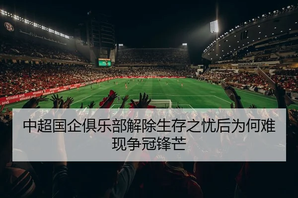 中超国企俱乐部解除生存之忧后为何难现争冠锋芒