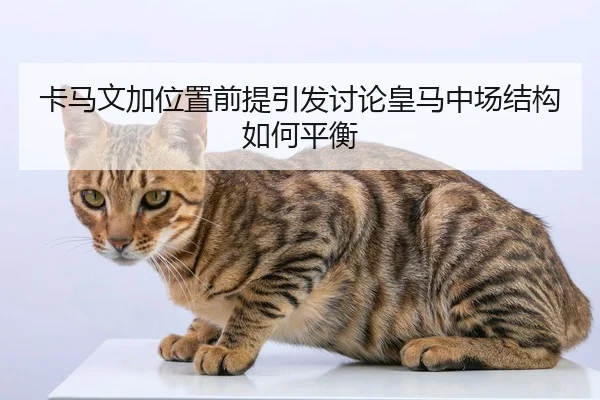 卡马文加位置前提引发讨论皇马中场结构如何平衡