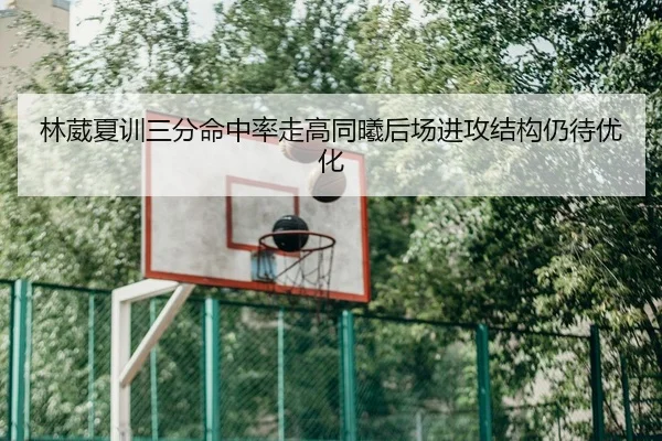 林葳夏训三分命中率走高同曦后场进攻结构仍待优化
