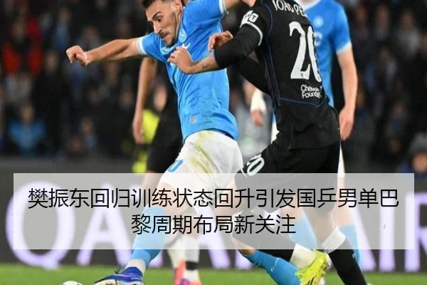 樊振东回归训练状态回升引发国乒男单巴黎周期布局新关注